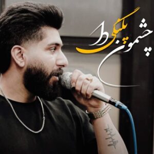 دانلود آهنگ مجید احمدی بوق به بوقه دلبر شهر چی آشوبه دلبر