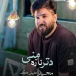 دانلود آهنگ مجید احمدی دتر ناز من