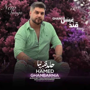 دانلود آهنگ حامد قنبرنیا قند عسل