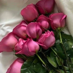 دانلود آهنگ هاوانا دانلود آهنگ هاوانا