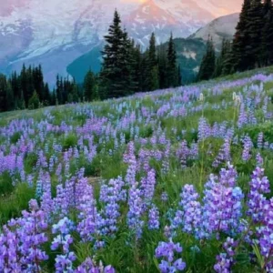 دانلود آهنگ من شک دارم به شادیای شما