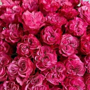 دانلود آهنگ می رقصم با نی انبون