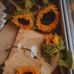 دانلود آهنگ یه دل نه صد دل عاشق ولی انگار نه انگار