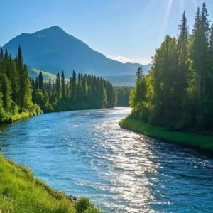 دانلود آهنگ دل هیشکی مثل من غم نداره