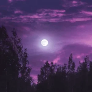 دانلود آهنگ خوشتیپ