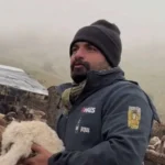 دانلود آهنگ مهدی کارگر داد بیداد