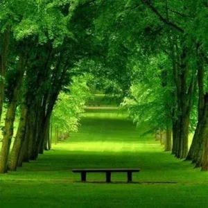 دانلود آهنگ در آسمون دل من پرنده پر نمیزنه