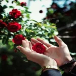 دانلود آهنگ نمیدونی تو که عاشق نبودی