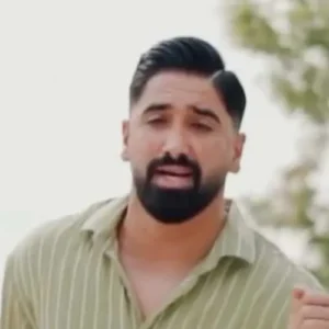 دانلود آهنگ جواد عباسی دلبر خشبخت بووشی