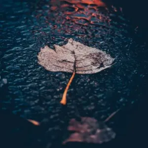دانلود آهنگ با همشون قهر کن منو یکمی درک کن