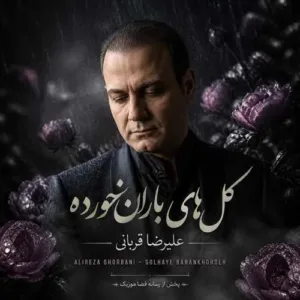 دانلود آهنگ علیرضا قربانی گل های باران خورده