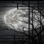 دانلود آهنگ ماما کشتمش