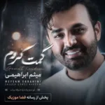 دانلود آهنگ میثم ابراهیمی گمت کردم