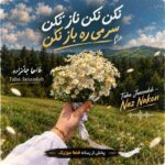 دانلود آهنگ نکن نکن ناز نکن سر می ره باز نکن