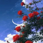 دانلود آهنگ یار پاشنه طلایی هوش مصنوعی
