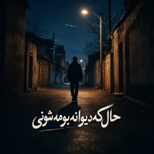 دانلود آهنگ حال که دیوانه بومه شونی دانلود آهنگ حال که دیوانه بومه شونی